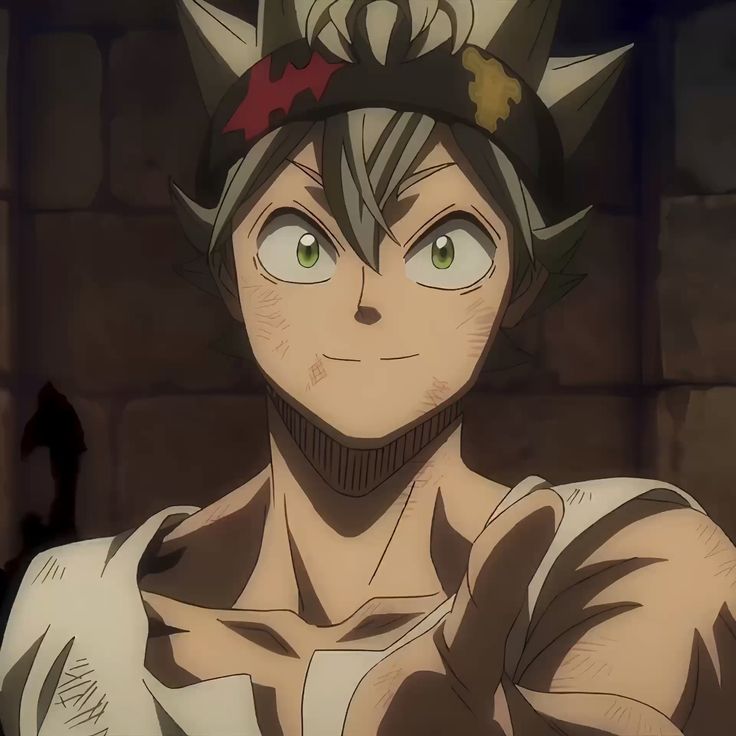 Asta - pfps, icons, banners, wallpapers [300+ Pictures]