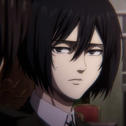 Mikasa Ackerman - pfps, icons, banners, wallpapers [300+ Pictures]