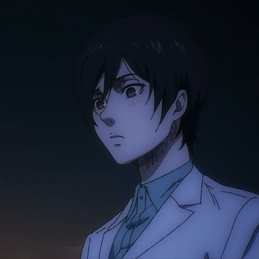 Matching AoT - pfps, icons, banners, wallpapers [300+ Pictures]