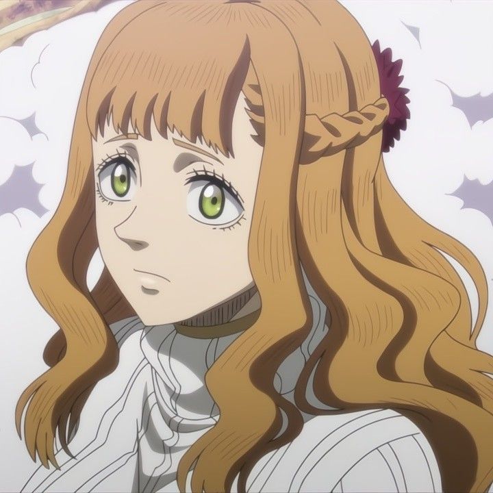 Mimosa Vermillion - pfps, icons, banners, wallpapers [300+ Pictures]