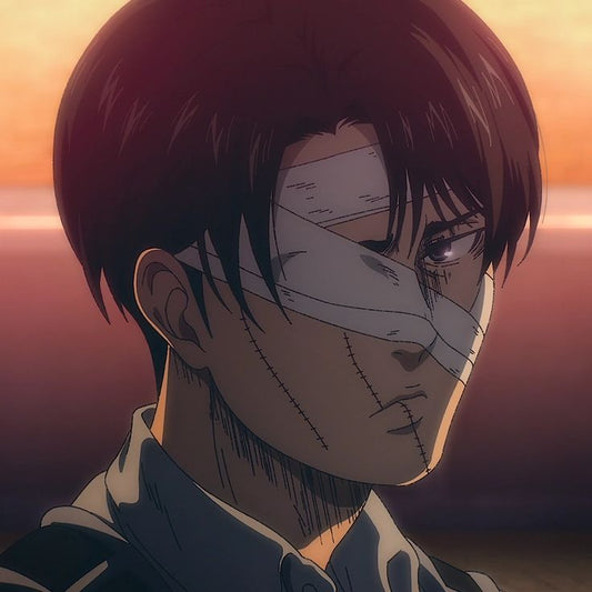 Levi Ackerman - pfps, icons, banners, wallpapers [300+ Pictures]