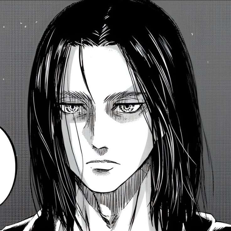 Eren Yeager - pfps, icons, banners, wallpapers [300+ Pictures]