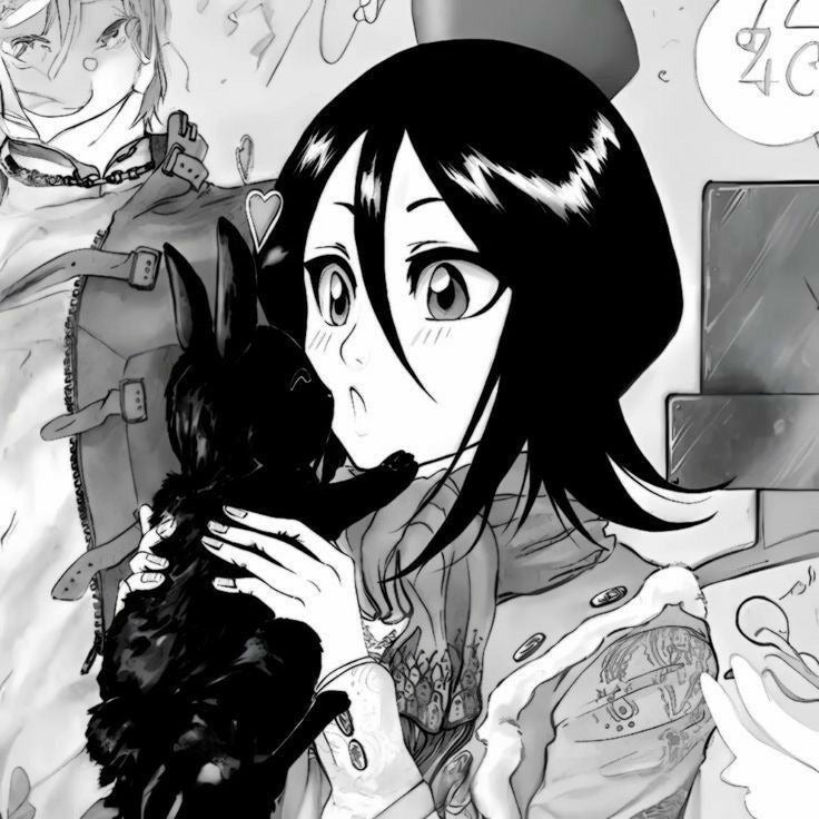 Rukia Kuchiki - pfps, icons, banners, wallpapers [300+ Pictures]
