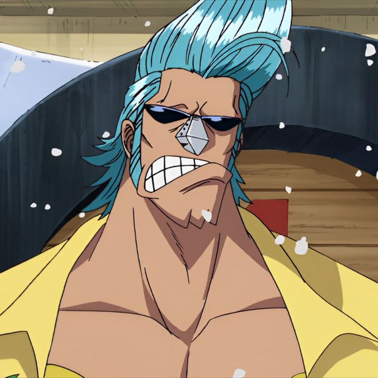 Franky - pfps, icons, banners, wallpapers [300+ Pictures]