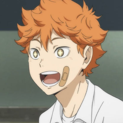 Hinata Shoyo - pfps, icons, banners, wallpapers [300+ Pictures]