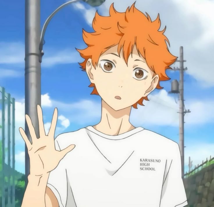 Hinata Shoyo - pfps, icons, banners, wallpapers [300+ Pictures]