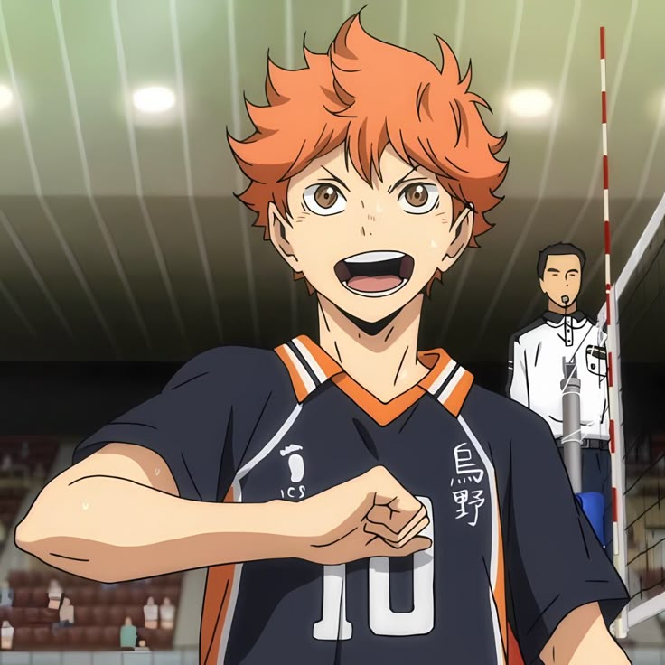 Hinata Shoyo - pfps, icons, banners, wallpapers [300+ Pictures]